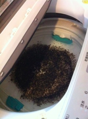シャボン玉洗濯槽クリーナーの汚れ落ちがスゴすぎて洗濯機が大変なことにｗｗｗ Cocowa